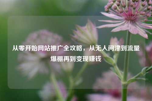 从零开始网站推广全攻略，从无人问津到流量爆棚再到变现赚钱