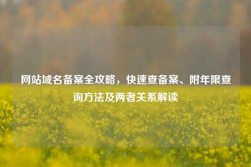 网站域名备案全攻略，快速查备案、附年限查询方法及两者关系解读