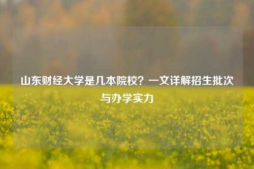 山东财经大学是几本院校？一文详解招生批次与办学实力