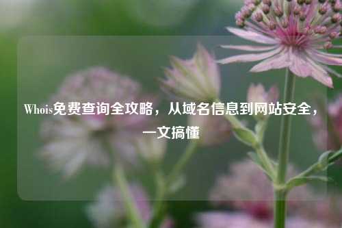 Whois免费查询全攻略,从域名信息到网站安全,一文搞懂
