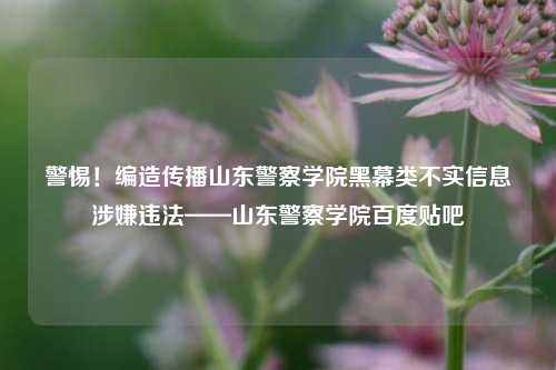 警惕！编造传播山东警察学院黑幕类不实信息涉嫌违法——山东警察学院百度贴吧