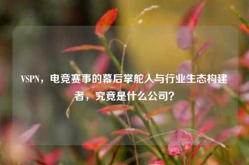 VSPN,电竞赛事的幕后掌舵人与行业生态构建者,究竟是什么公司?