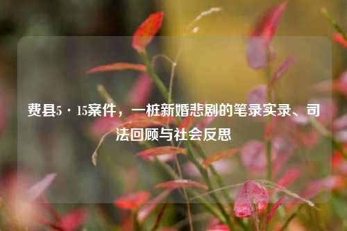 费县5·15案件，一桩新婚悲剧的笔录实录、司法回顾与社会反思