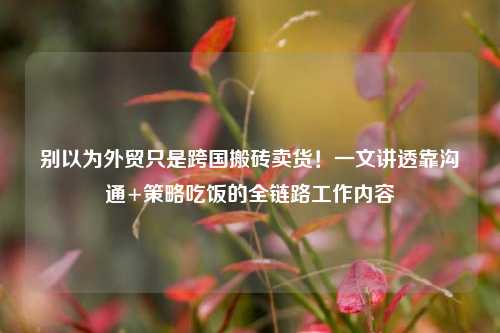 别以为外贸只是跨国搬砖卖货！一文讲透靠沟通+策略吃饭的全链路工作内容