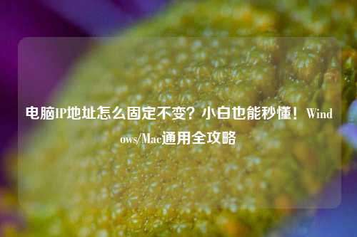 电脑IP地址怎么固定不变？小白也能秒懂！Windows/Mac通用全攻略