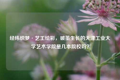 经纬织梦·艺工绘彩，破茧生长的天津工业大学艺术学院是几本院校吗？
