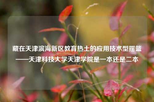 藏在天津滨海新区教育热土的应用技术型摇篮——天津科技大学天津学院是一本还是二本