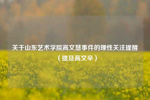 关于山东艺术学院高文慧事件的理性关注提醒（提及高文辛）