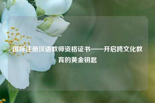 国际注册汉语教师资格证书——开启跨文化教育的黄金钥匙