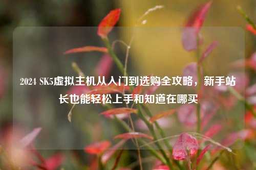 2024 SK5虚拟主机从入门到选购全攻略，新手站长也能轻松上手和知道在哪买