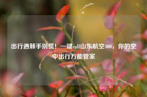 出行遇棘手别慌！一键call山东航空400，你的空中出行万能管家