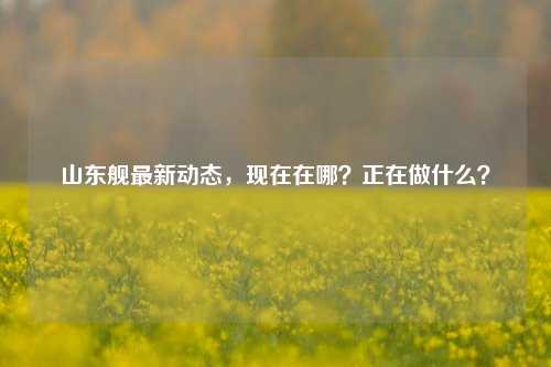 山东舰最新动态，现在在哪？正在做什么？