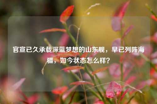 官宣已久承载深蓝梦想的山东舰，早已列阵海疆，如今状态怎么样？