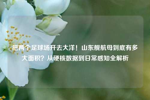 把两个足球场开去大洋！山东舰航母到底有多大面积？从硬核数据到日常感知全解析