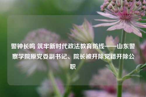 警钟长鸣 筑牢新时代政法教育防线——山东警察学院原党委副书记、院长被开除党籍开除公职