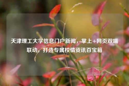 天津理工大学信息门户新闻，掌上+网页双端联动，打造专属校情资讯百宝箱