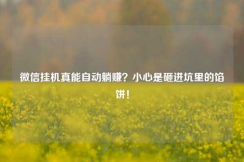 微信挂机真能自动躺赚？小心是砸进坑里的馅饼！