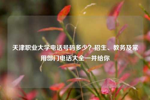 天津职业大学电话号码多少？招生、教务及常用部门电话大全一并给你