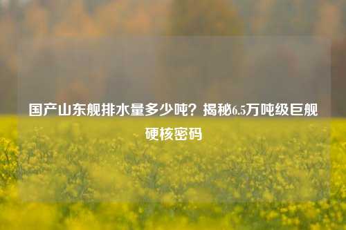 国产山东舰排水量多少吨？揭秘6.5万吨级巨舰硬核密码