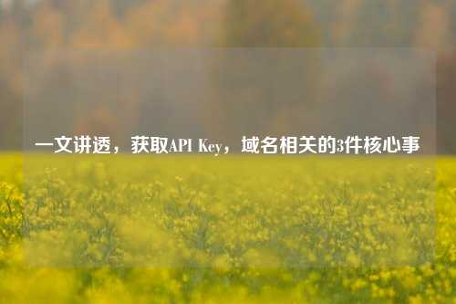 一文讲透，获取API Key，域名相关的3件核心事