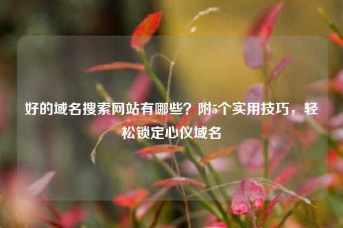 好的域名搜索网站有哪些？附5个实用技巧，轻松锁定心仪域名