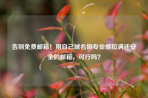 告别免费邮箱！用自己域名做专业感拉满还安全的邮箱，可行吗？