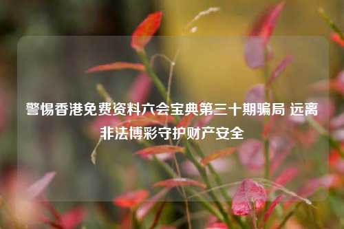 警惕香港免费资料六会宝典第三十期骗局 远离非法博彩守护财产安全