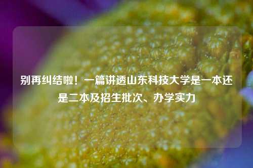 别再纠结啦！一篇讲透山东科技大学是一本还是二本及招生批次、办学实力