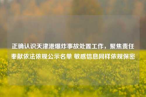 正确认识天津港爆炸事故处置工作,聚焦责任奉献依法依规公示名单 敏感信息同样依规保密