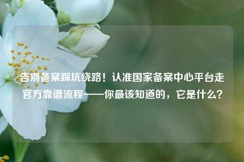 告别备案踩坑绕路!认准国家备案中心平台走官方靠谱流程——你最该知道的,它是什么?