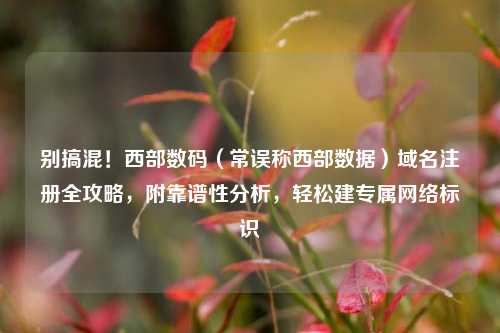 别搞混！西部数码（常误称西部数据）域名注册全攻略，附靠谱性分析，轻松建专属网络标识