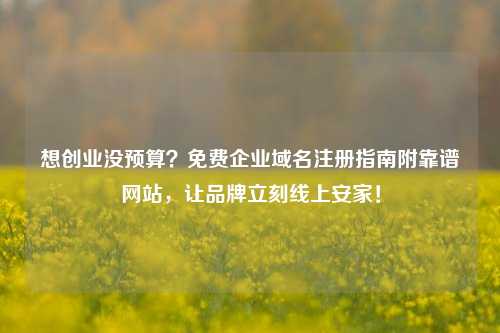 想创业没预算？免费企业域名注册指南附靠谱网站，让品牌立刻线上安家！