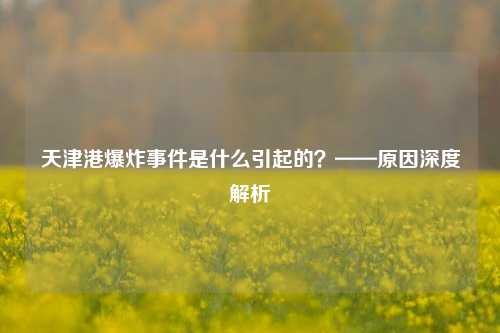 天津港爆炸事件是什么引起的？——原因深度解析