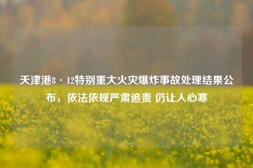 天津港8·12特别重大火灾爆炸事故处理结果公布,依法依规严肃追责 仍让人心寒