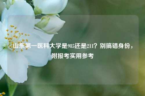 山东第一医科大学是985还是211？别搞错身份，附报考实用参考