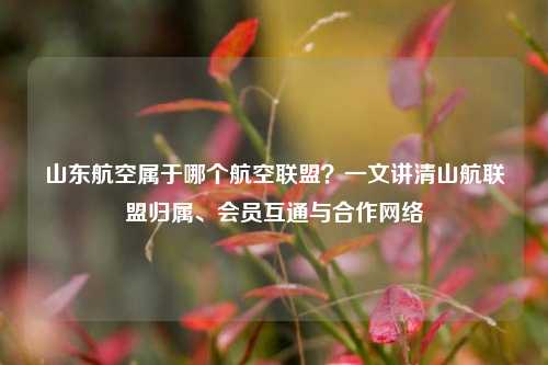 山东航空属于哪个航空联盟？一文讲清山航联盟归属、会员互通与合作网络