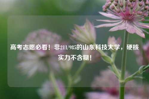 高考志愿必看！非211/985的山东科技大学，硬核实力不含糊！