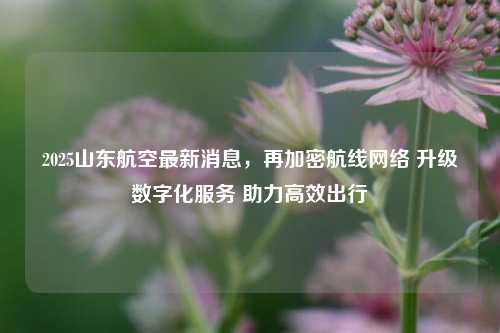 2025山东航空最新消息，再加密航线网络 升级数字化服务 助力高效出行