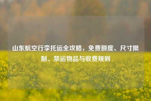 山东航空行李托运全攻略，免费额度、尺寸限制、禁运物品与收费规则
