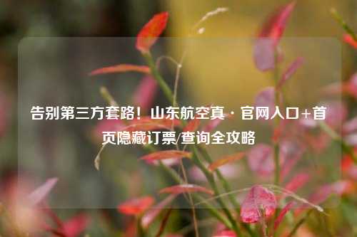 告别第三方套路！山东航空真·官网入口+首页隐藏订票/查询全攻略