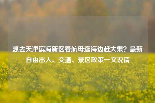 想去天津滨海新区看航母逛海边赶大集?最新自由出入、交通、景区政策一文说清
