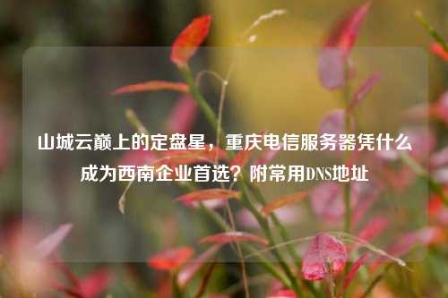 山城云巅上的定盘星,重庆电信服务器凭什么成为西南企业首选?附常用DNS地址