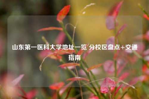 山东第一医科大学地址一览 分校区盘点+交通指南