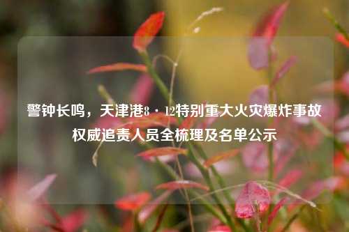 警钟长鸣,天津港8·12特别重大火灾爆炸事故权威追责人员全梳理及名单公示