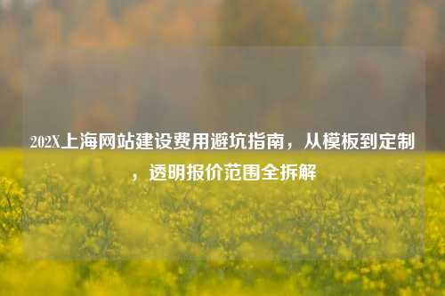 202X上海网站建设费用避坑指南,从模板到定制,透明报价范围全拆解