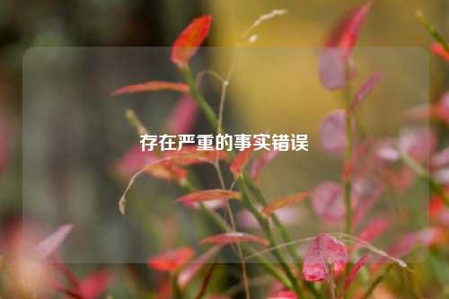 存在严重的事实错误