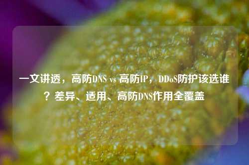一文讲透，高防DNS vs 高防IP，DDoS防护该选谁？差异、适用、高防DNS作用全覆盖