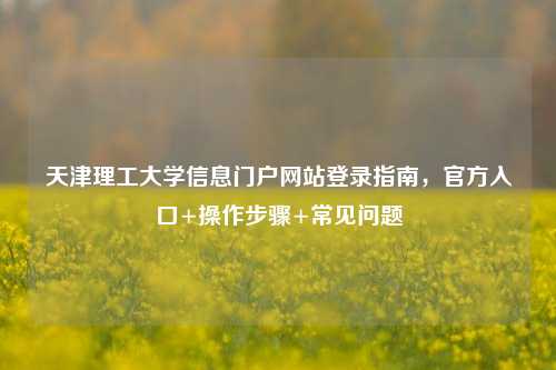 天津理工大学信息门户网站登录指南，官方入口+操作步骤+常见问题