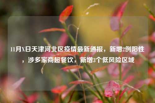 11月X日天津河北区疫情最新通报，新增2例阳性，涉多家商超餐饮，新增3个低风险区域
