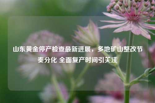 山东黄金停产检查最新进展，多地矿山整改节奏分化 全面复产时间引关注